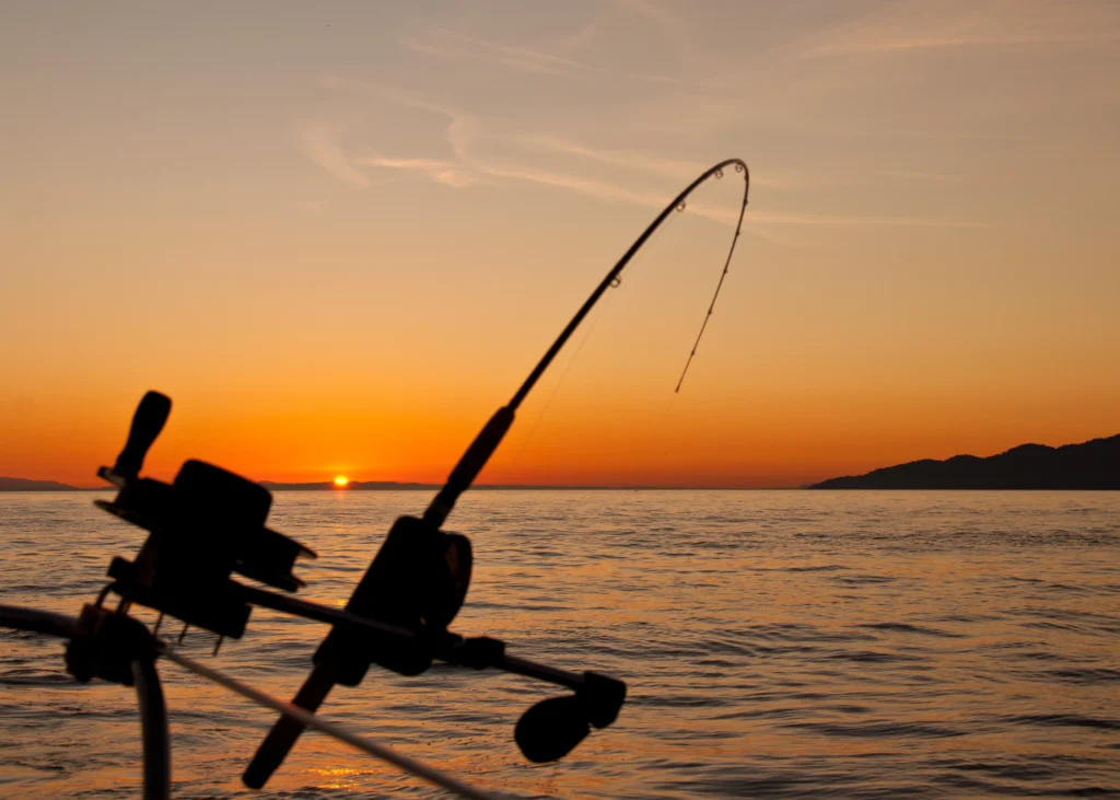 Fishing rod
