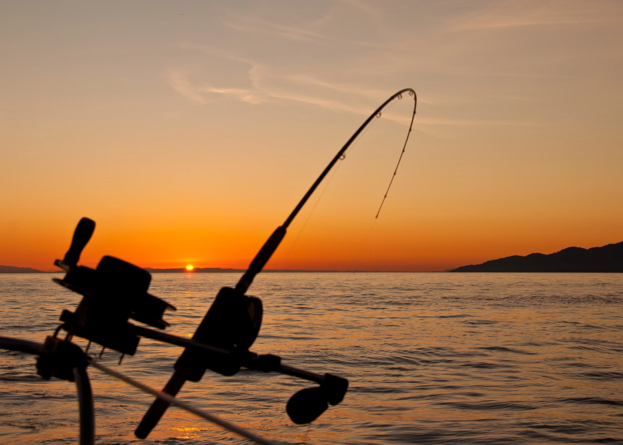 Fishing rod